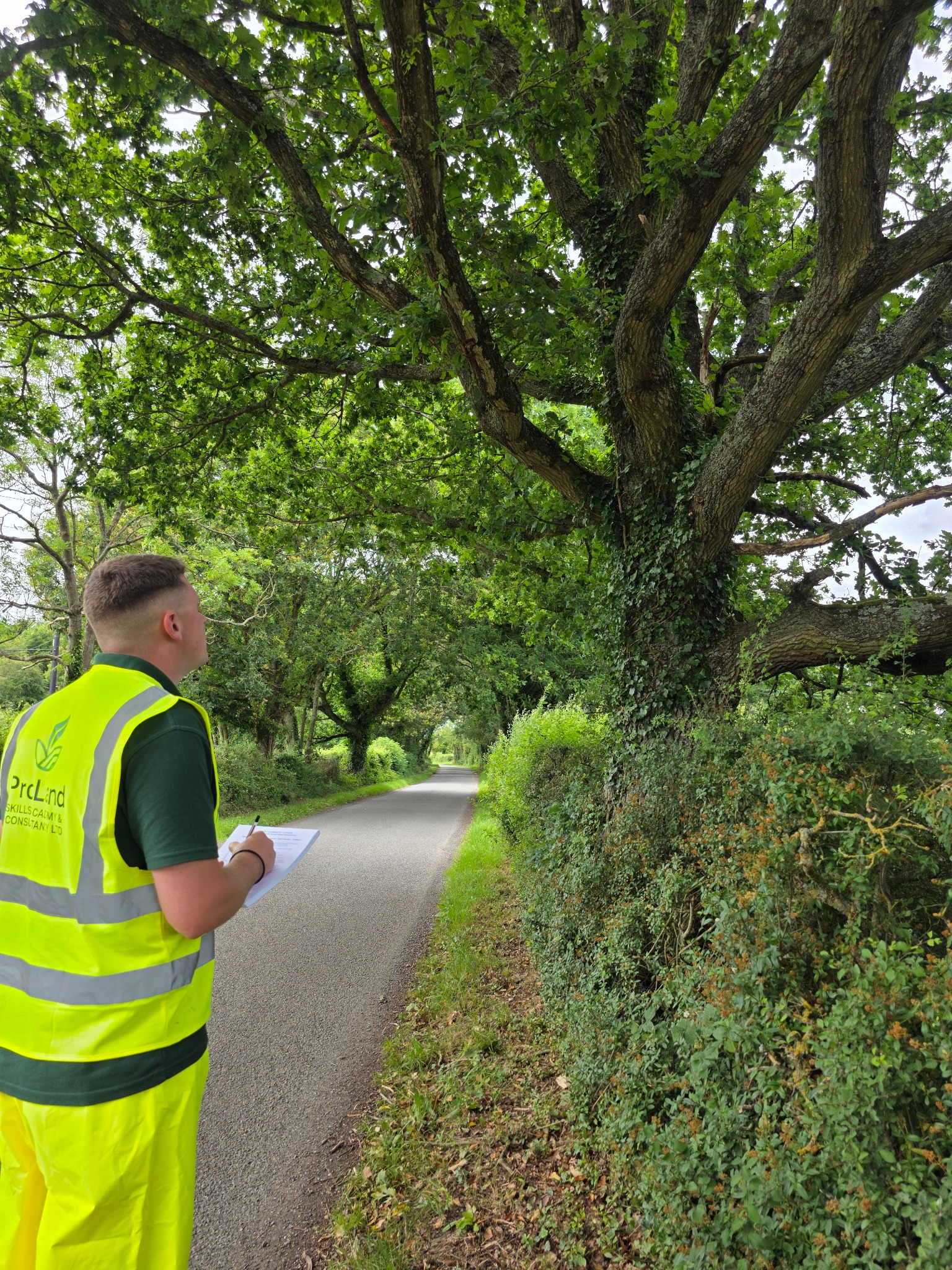 ProLand inspector recording a tree during a site survey