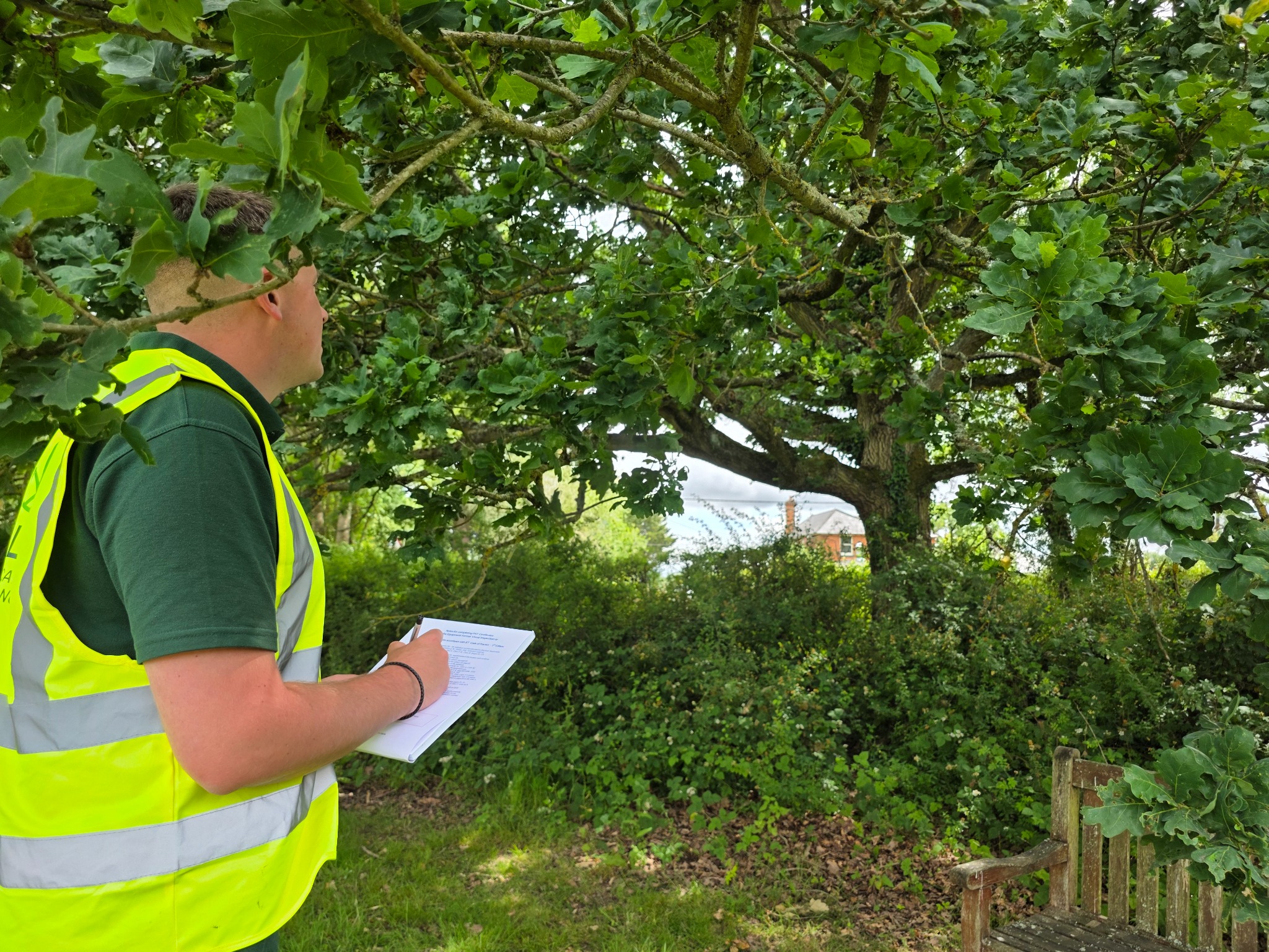 ProLand inspector examining the visible condition of a tree trunk