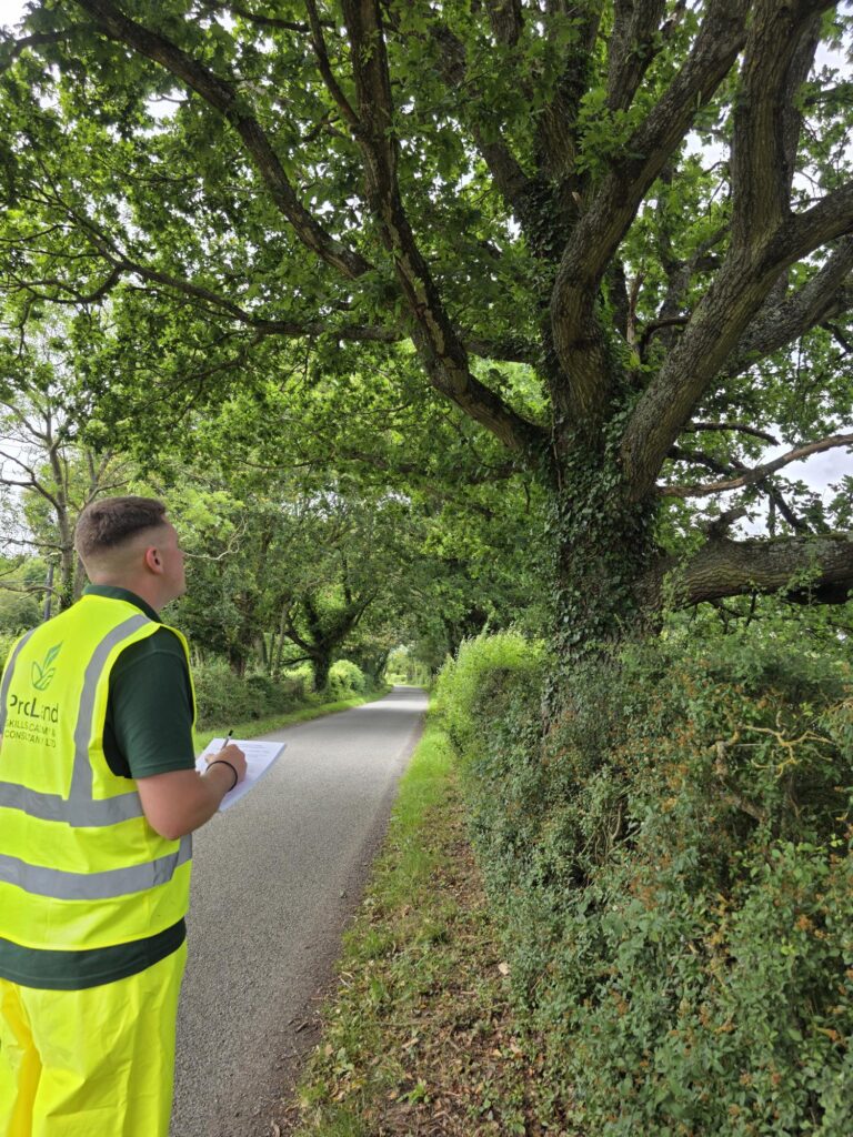 ProLand carrying out an outdoor site inspection