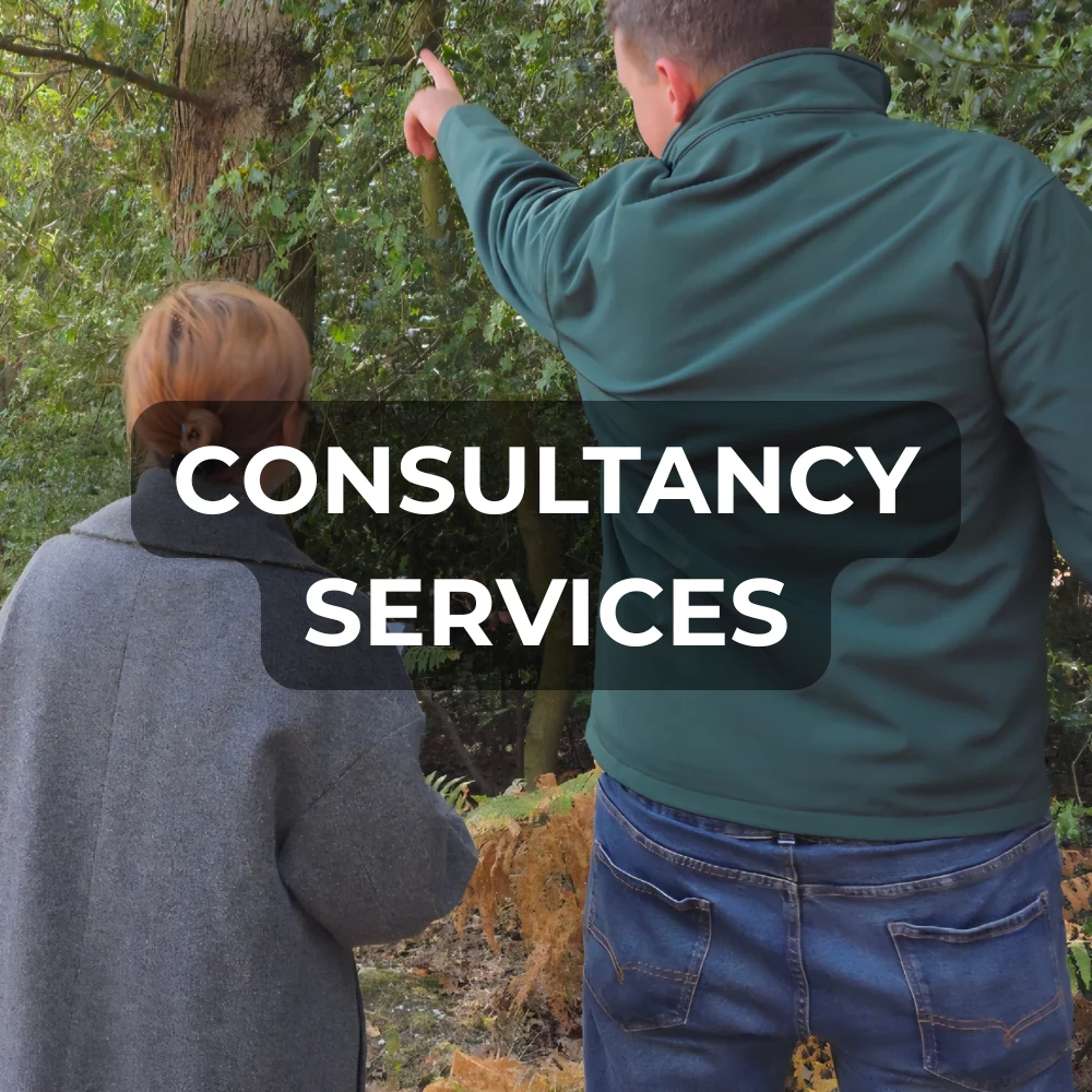 Consultancy Services